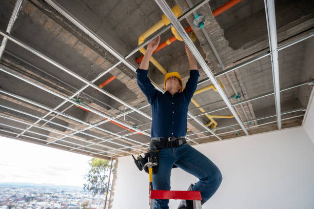 Best Clogged Drain Plumber  in New Lenox, IL