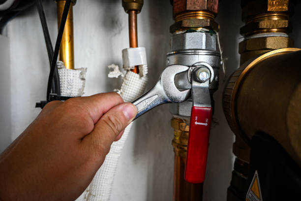 Best Leak Detection Services  in New Lenox, IL